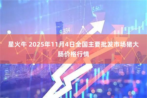 星火牛 2025年11月4日全国主要批发市场猪大肠价格行情