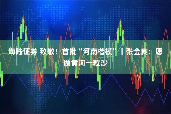 海陆证券 致敬！首批“河南楷模”｜张金良：愿做黄河一粒沙