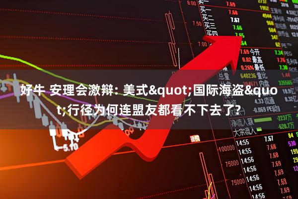 好牛 安理会激辩: 美式"国际海盗"行径为何连盟友都看不下去了?